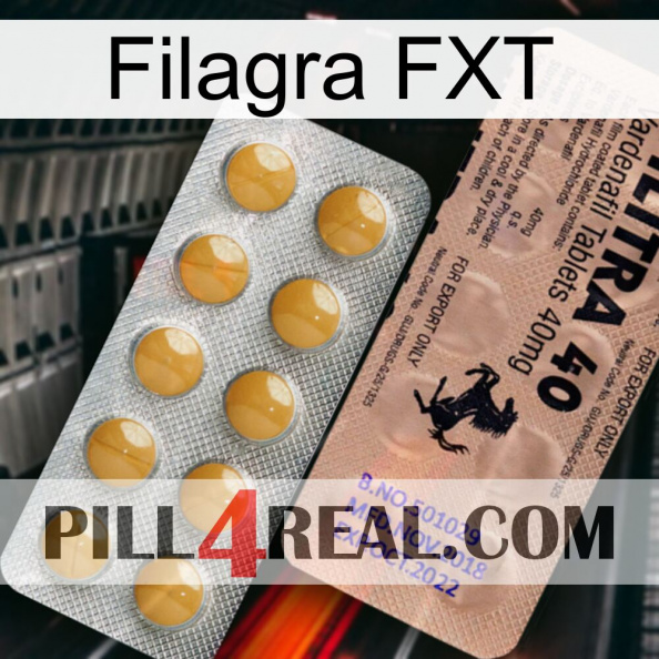 Filagra FXT 41.jpg